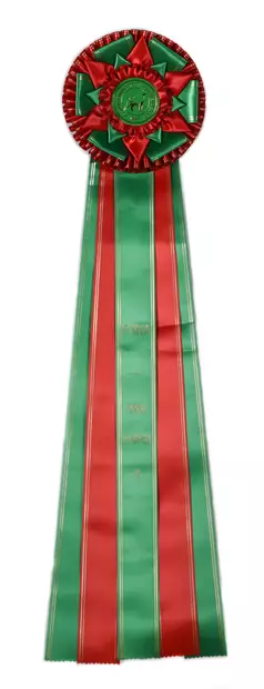 FI MVA - Suomen Muotovalio Ruusuke - Valioruusukkeet - 103119 - 12